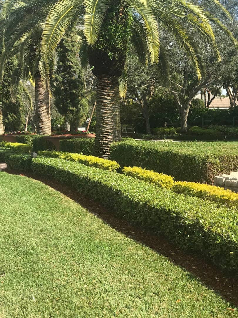 Landscape Projects