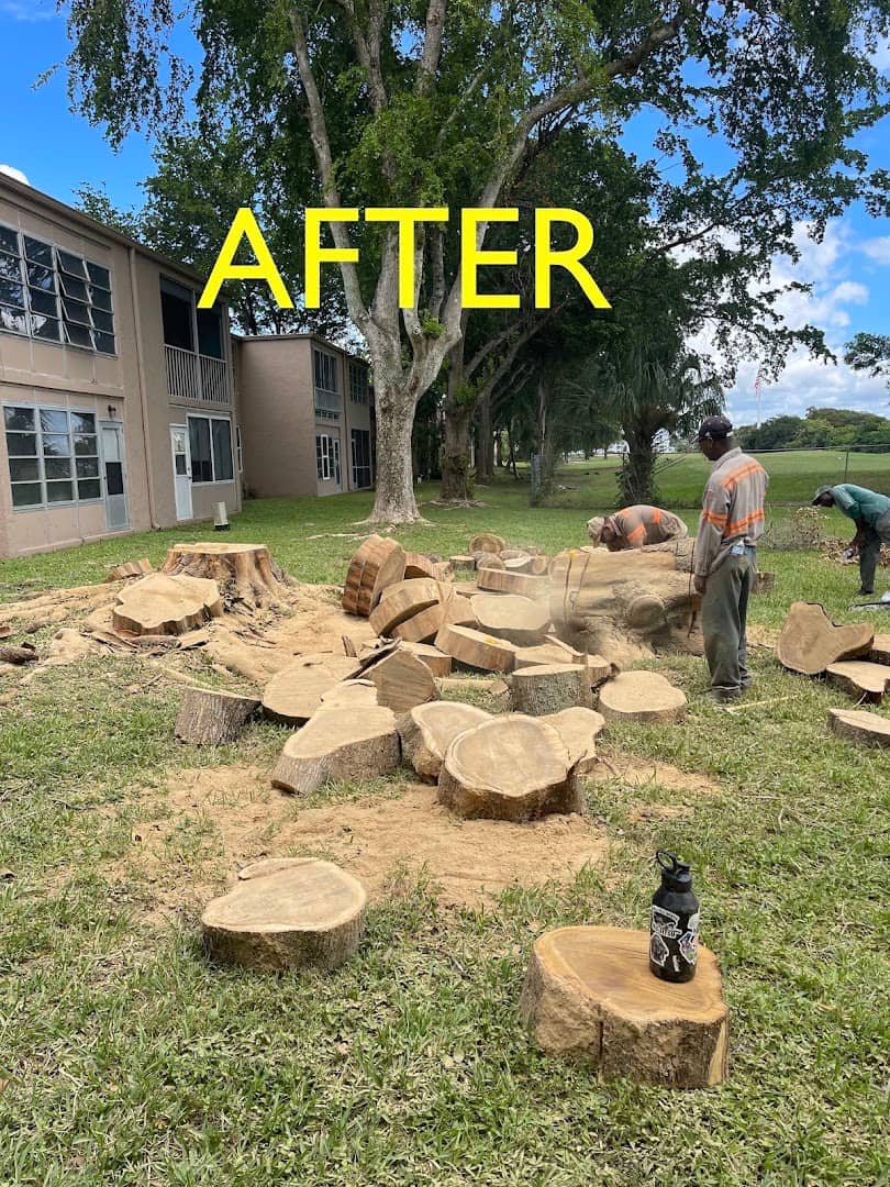 Landscape Projects