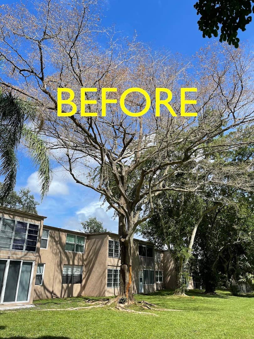 Landscape Projects
