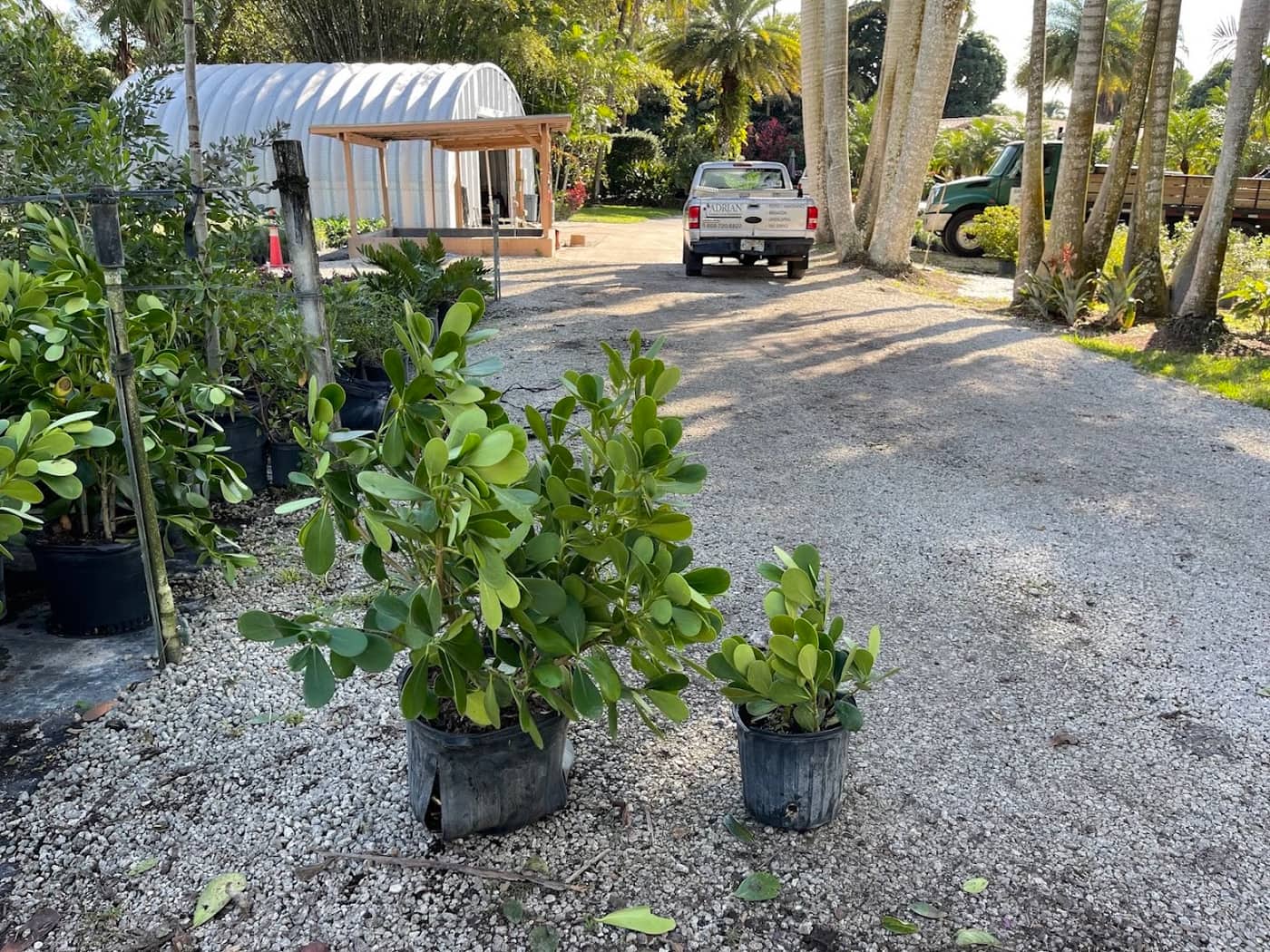 Landscape Projects