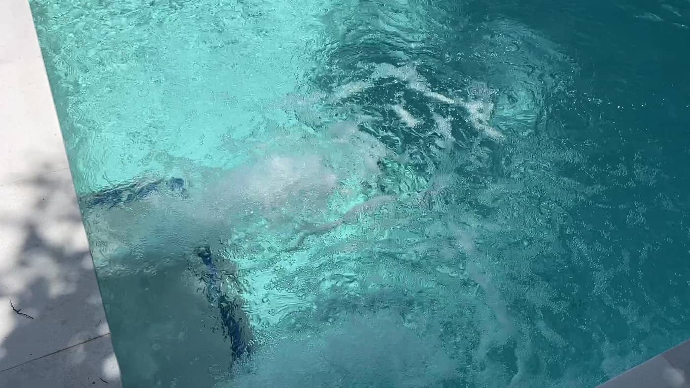 Pool & Deck Work