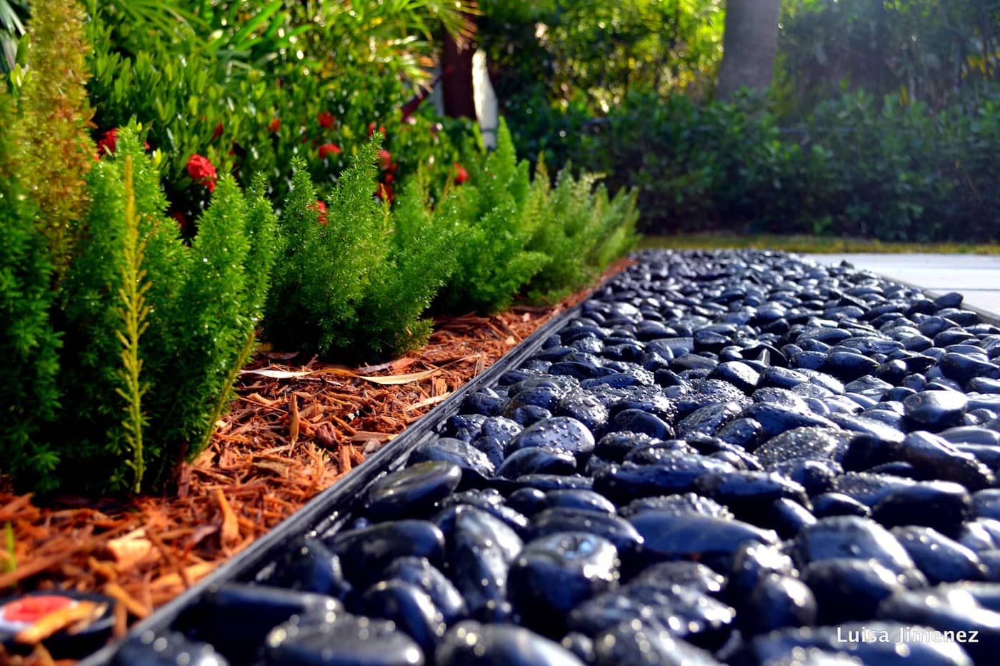 Greenstar Landscaping and Irrigation Co — photo 5