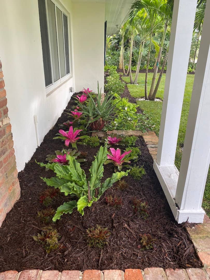 Landscape Design Work