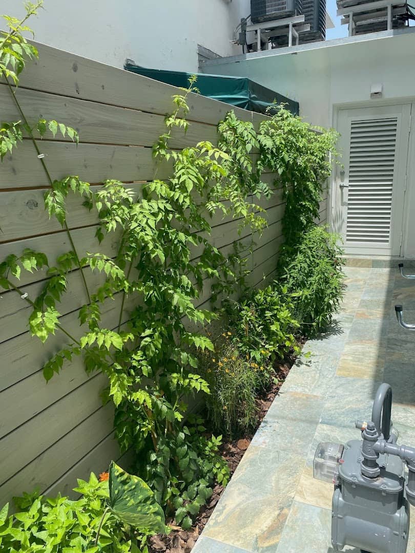 Landscape Design Work