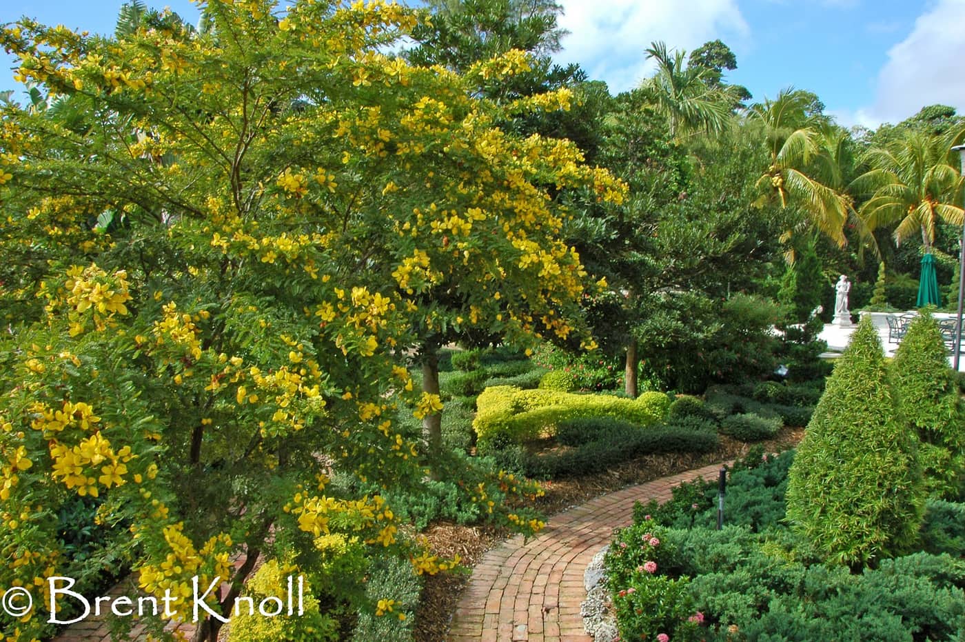 Knoll Landscape Design — completed project in Miami-Dade area, FL