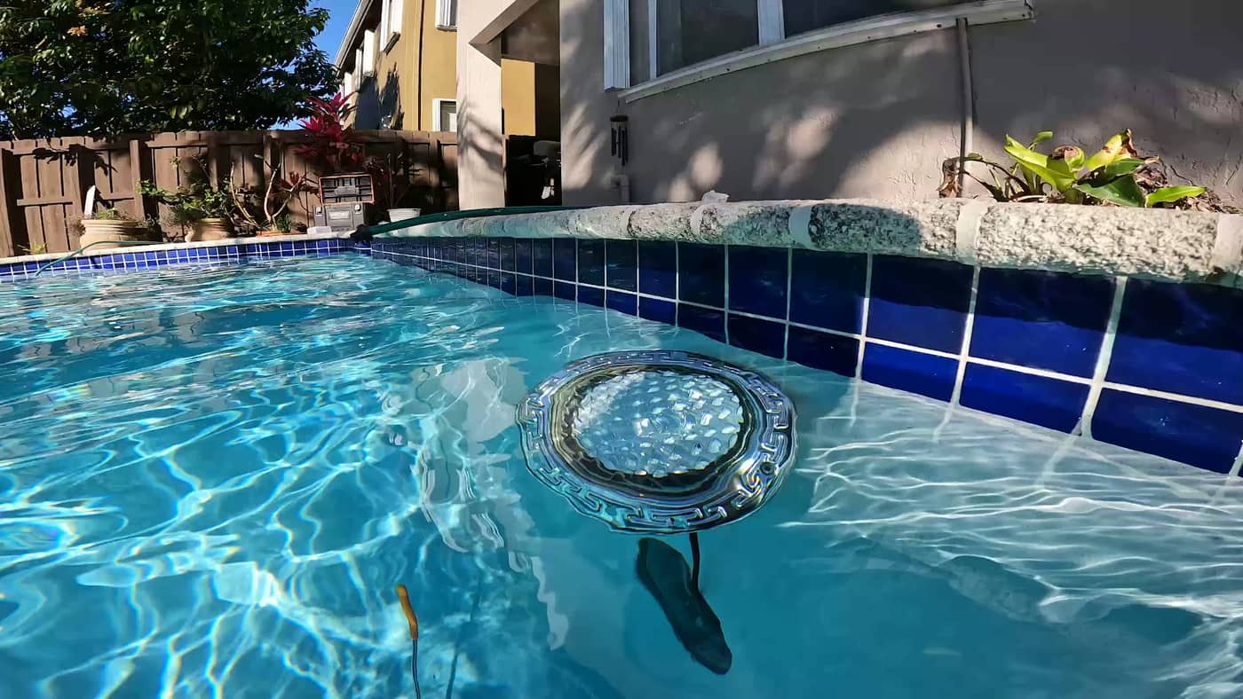Pool Service Work