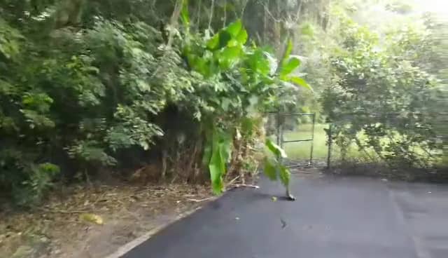 Driveway & Paving Projects